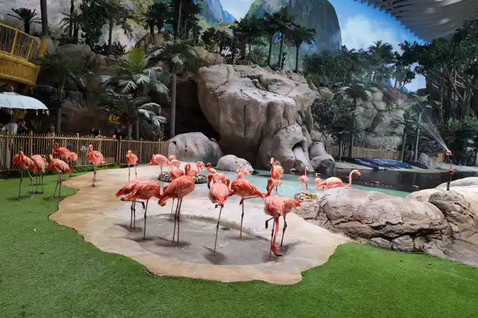 Abu Dhabi: SeaWorld Entry Ticket