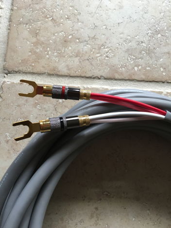 Canare 4S11 28 foot speaker cables