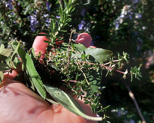 Food & Wine Tours Bagheria: Garden tour in the Sicilian coutryside