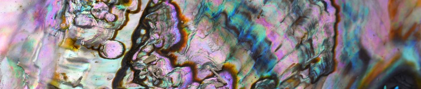 Découvrez notre sélection de produits en abalone, une pierre aux vertus énergétiques et spirituelles multiples. Fabriqués avec soin et en accord avec notre engagement pour des pratiques éthiques et durables, nos produits en abalone apporteront une touche de naturel et d'harmonie à votre vie quotidienne.