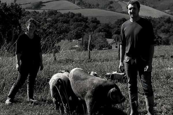 Ferme Biotzeko, producteur du Pays basque