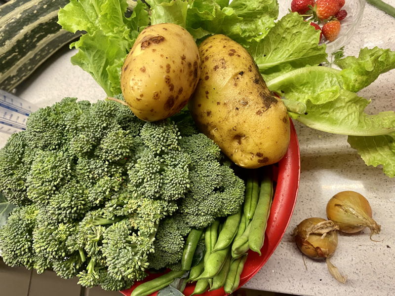 Kochkurse Baselga di Pinè: Traditioneller Trentiner Kochkurs: Spätzle und Tortelli