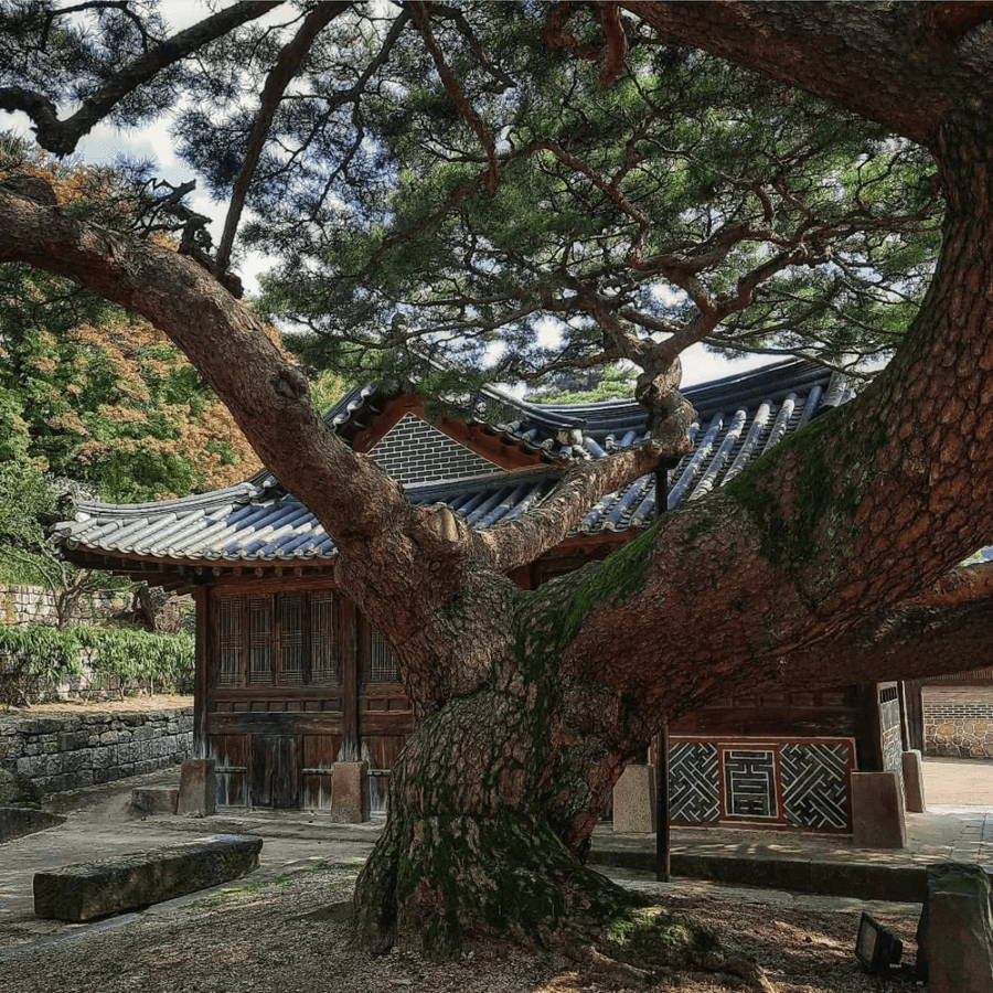 Nature hideaway Hidden Gem Seokpajeong