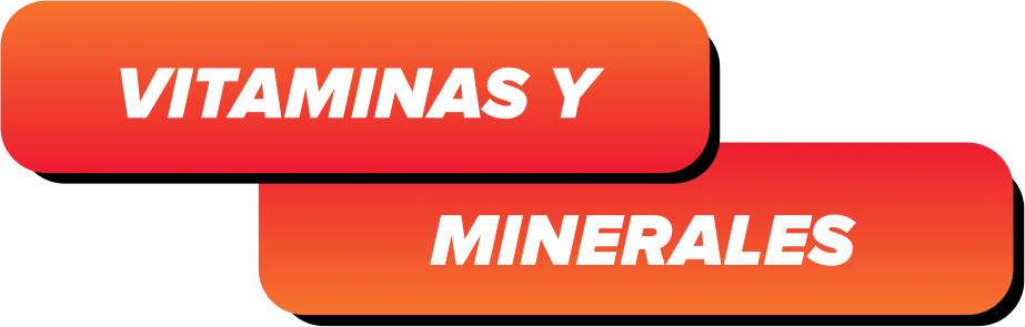 VITAMINAS Y MINERALES