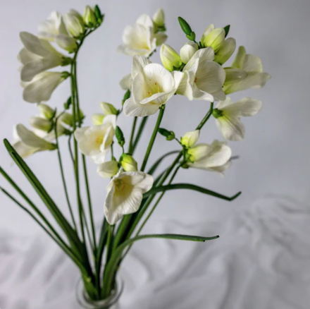 Freesia White Real Touch - Realistic Artificial Flowers - Image 3