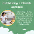 Establishing a Flexible Schedule | My Organic Company
