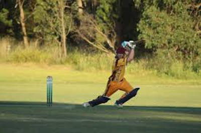 South Warrandyte Cricket Club Cricket Club Logo
