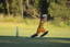 South Warrandyte Cricket Club Cricket Club Logo