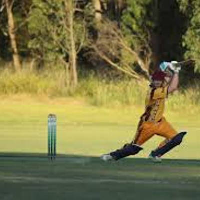 South Warrandyte Cricket Club Logo