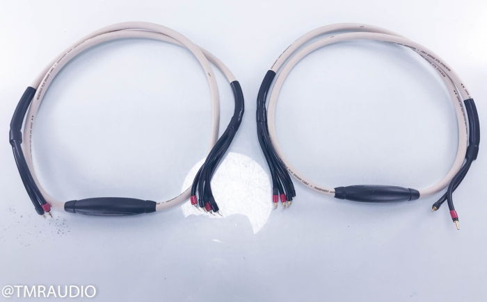 Transparent Audio MusicWave Plus Biwire Speaker Cables ...