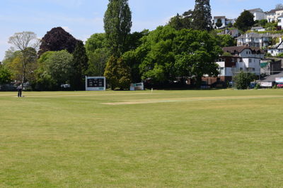 South Devon Cricket Club Logo