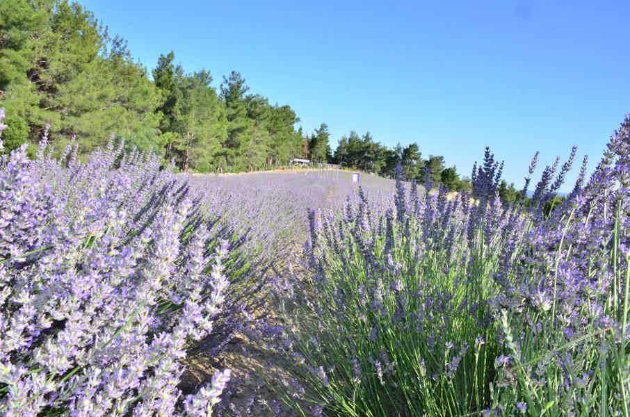 Antalya: Monster Safari, Rafting, Tazı Canyon & Lavender - photo 5