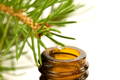 Drops of pine essential oil
