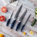 kanpeki damascus VG10 knife set