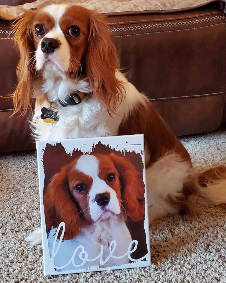 Cavalier King Charles Spaniel and Personalized Canvas Print