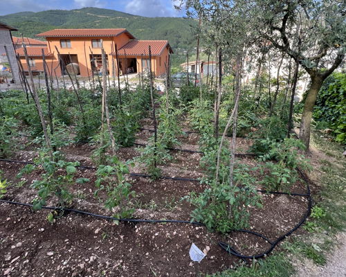 Food & Wine Tours Nocera Umbra: Farm to Table: food shop tour, cooking & tasting experience