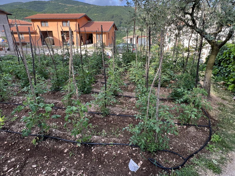 Food & Wine Tours Nocera Umbra: Farm to Table: food shop tour, cooking & tasting experience