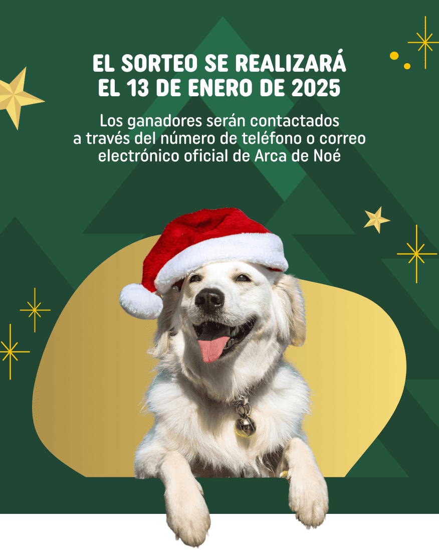 EL SORTEO SE REALIZARÁ EL 13 DE ENERO DE 2025