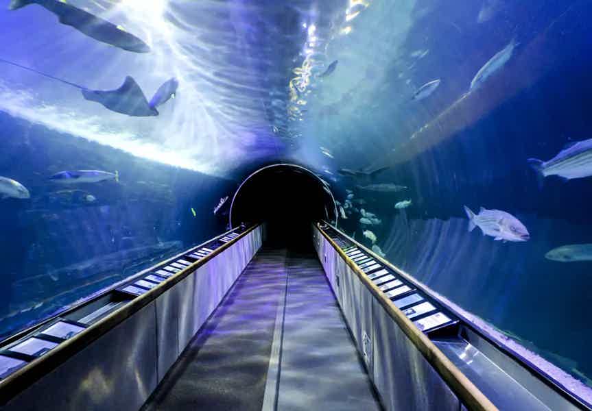 Sightseeing Tour and Aquarium in Antalya from Alanya - photo 4
