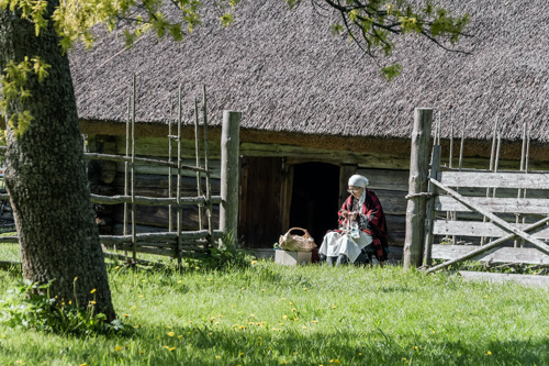 Машина времени или приключения в деревне эстонской 