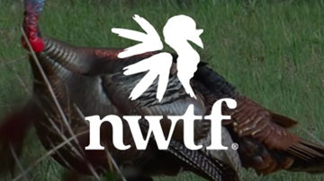Main Content Image