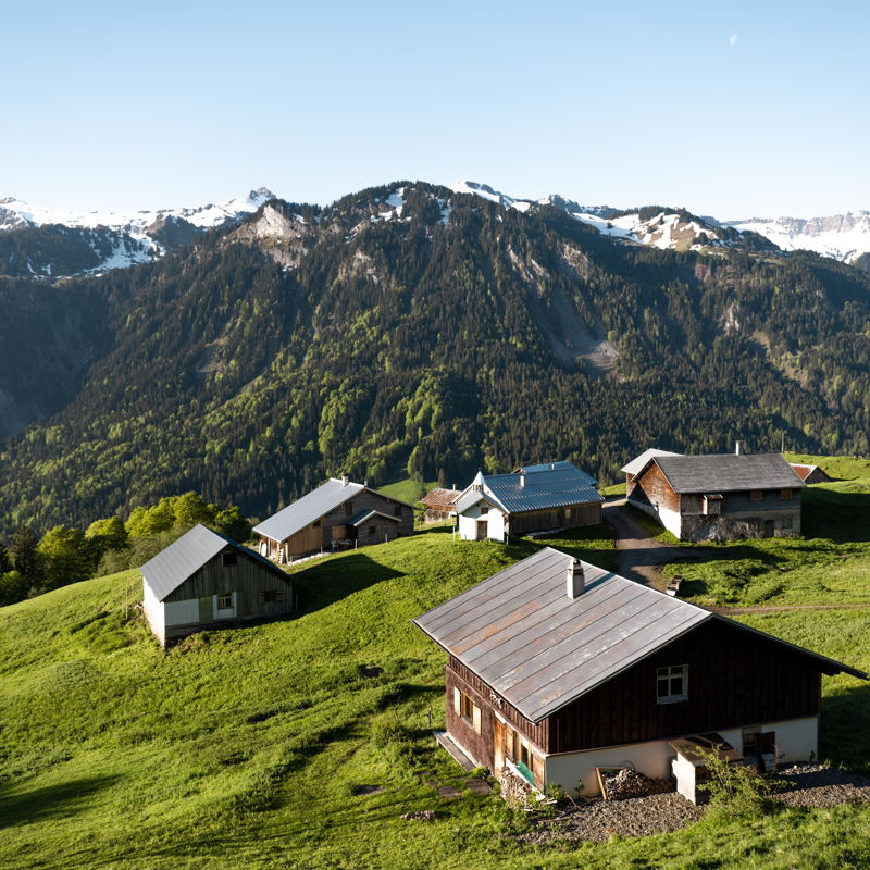Berghütten vor Gipfeln im Bregenzerwald