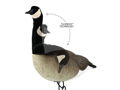 Canada Goose FullBody Flexlite Heads 4pk