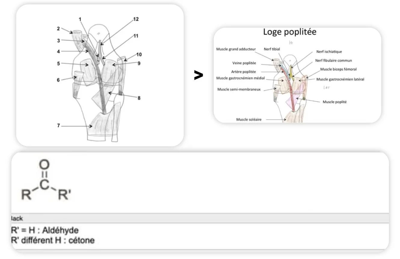 flashcards en PASS exemple
