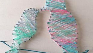 vogel quadratisch teaser