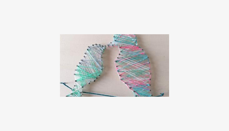 vogel quadratisch teaser