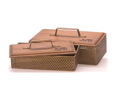 Wood & Metal Mesh Boxes Set of Two