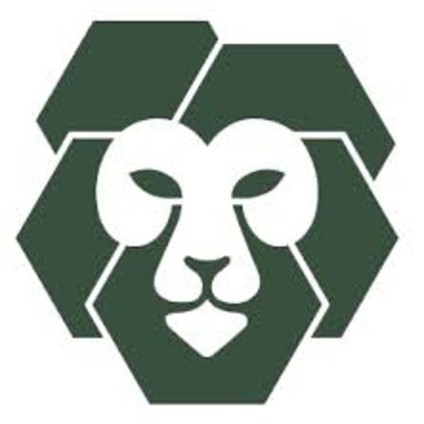Lincoln Los Leones PTA