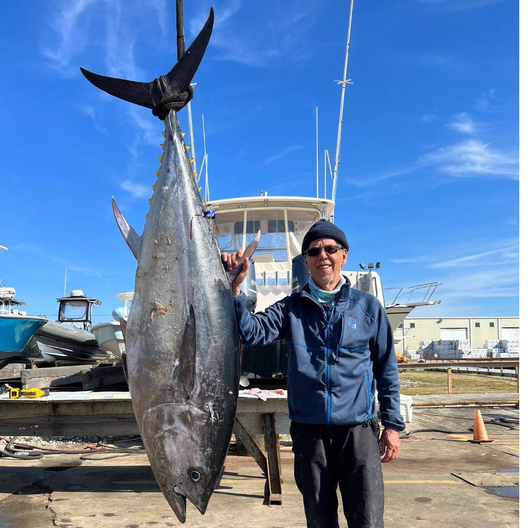 Trolling for bluefin tuna