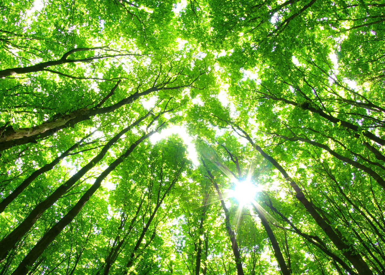 Home Background Image