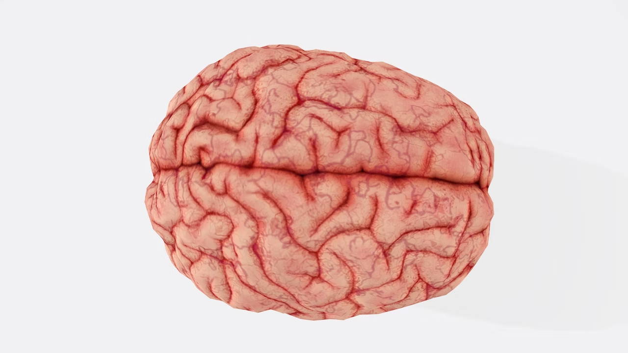 What is the Best Nootropic A Deep Dive into Brain Boosters