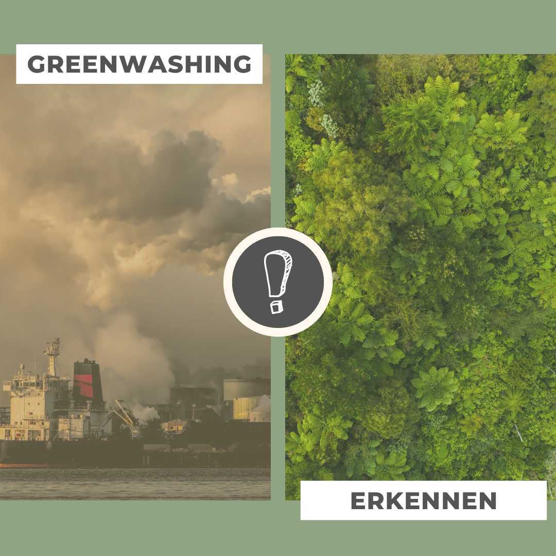 Greenwashing erkennen: So unterscheidest Du echte Nachhaltigkeit von täuschenden Greenwashing-Lügen