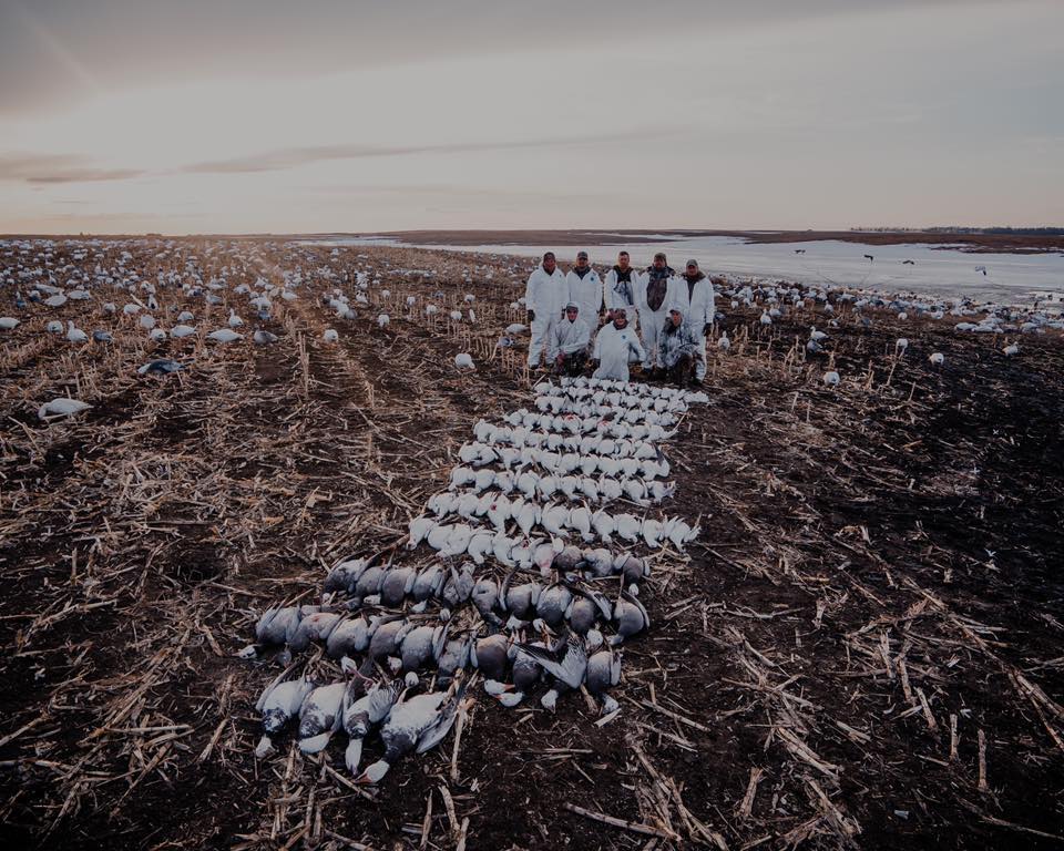 Best Guided North Dakota Waterfowl Hunts Mallard Bay