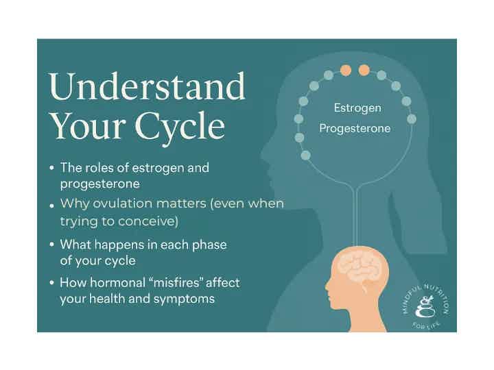 What’s Really Going On in Your Cycle