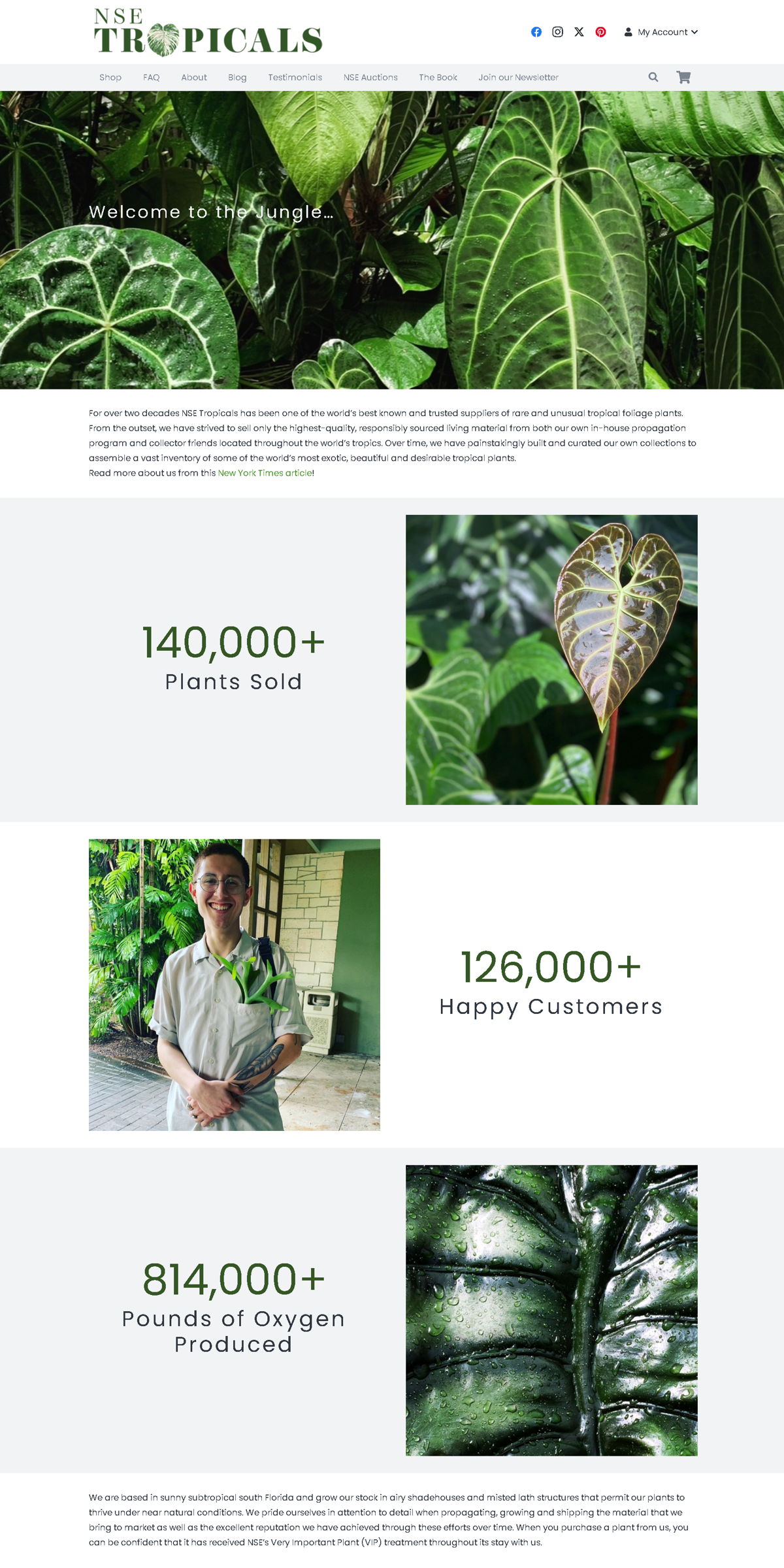 Screenshot of NSE Tropicals, from the homepage examples collection.