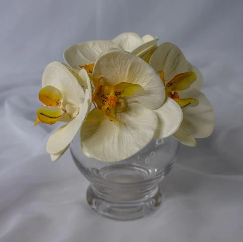 White and Yellow Phalaenopsis Flowerhead ( 6 Pack ) - Realistic Artficial Flowers - Image 3