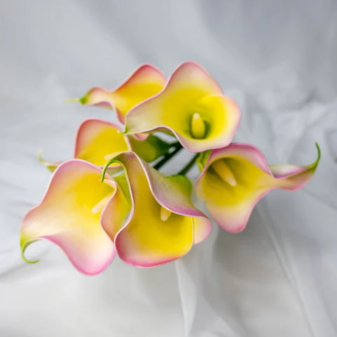 Yellow/Pink Small Calla Lily - Realistic Artificial Flowers - Image 2
