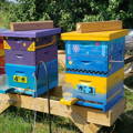 colorful-honey-bee-hives-at-gypsy-shoals-farm