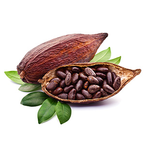 Organic Raw Cacao Bean