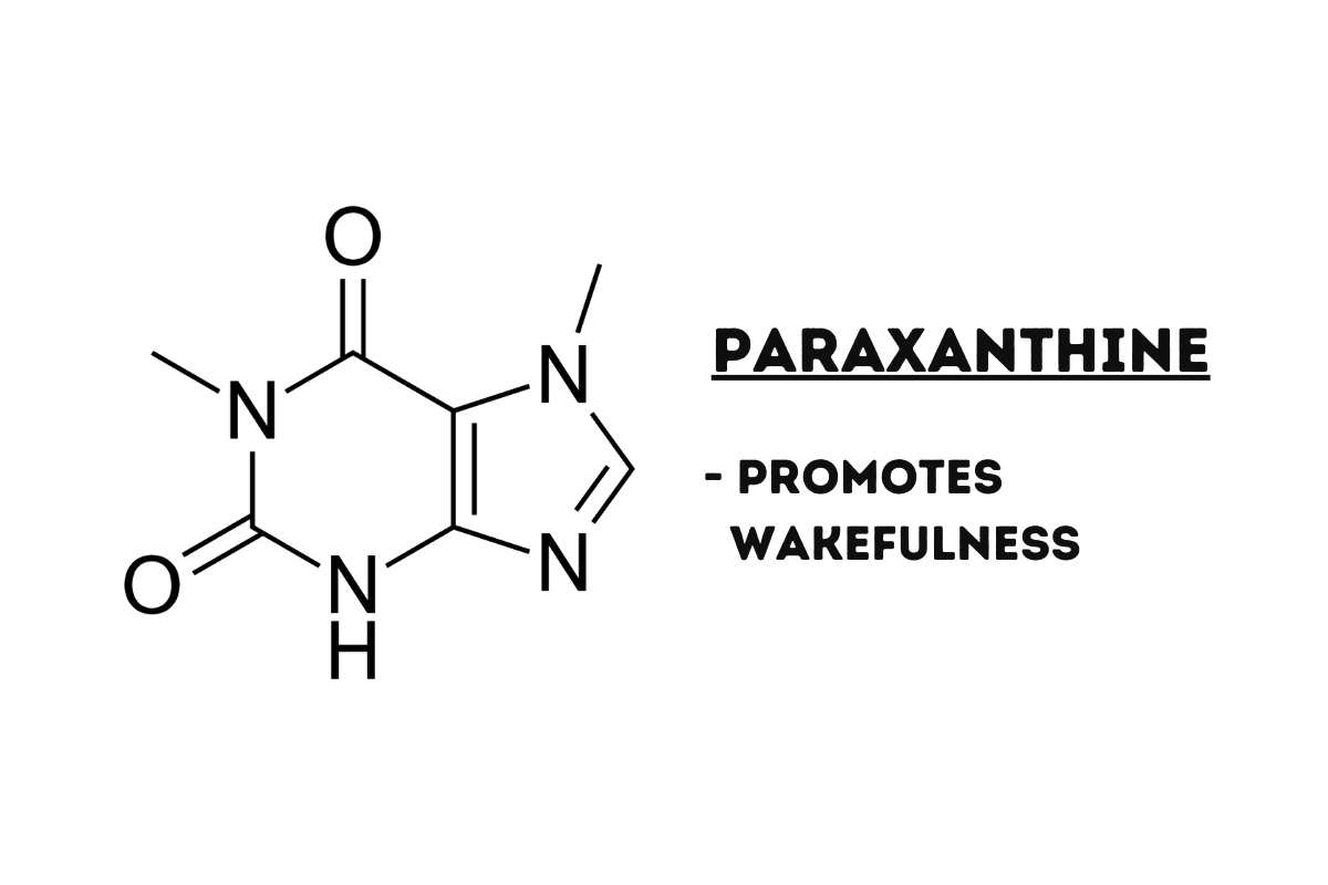 paraxanthine chemical illustration