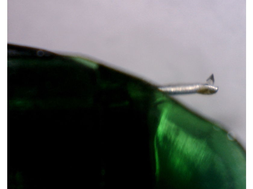 Grace F-9P phono cartridge nude shank diamond MM type