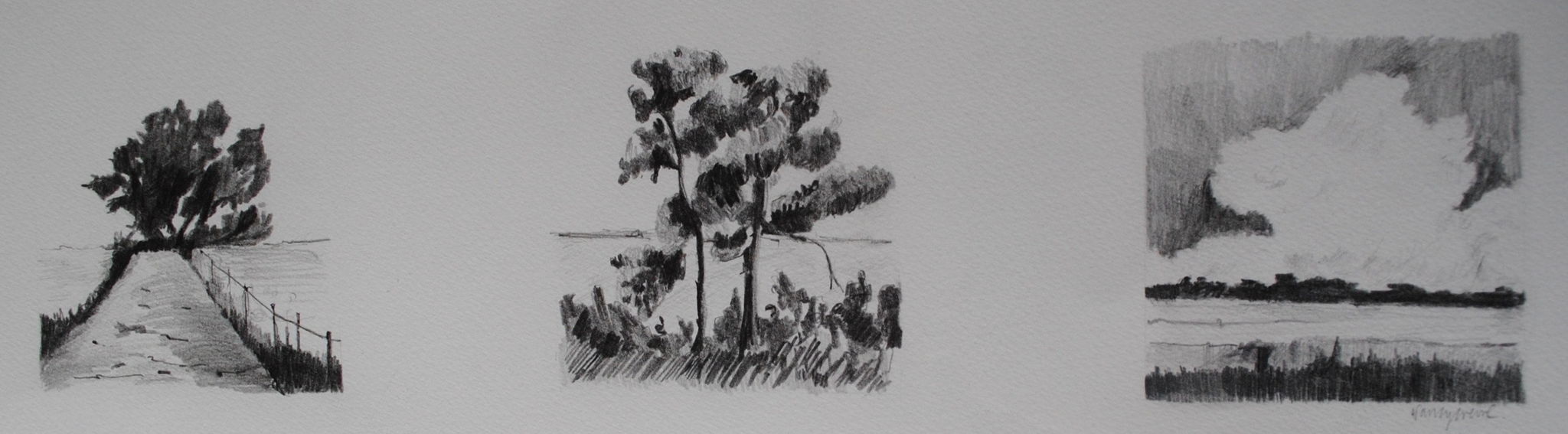 Pencil sketches of trees and shoreline