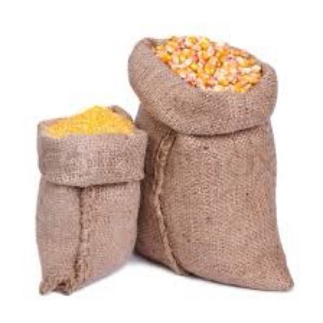 Supply of GMO & Non-GMO Corn From Brazil & USA