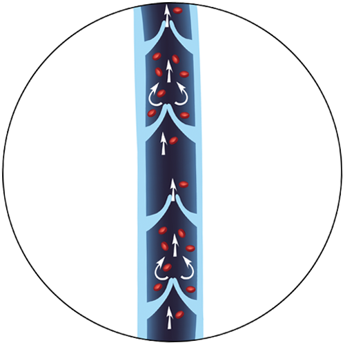Illustration of a Healthy Vein