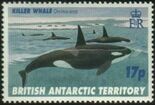 orca