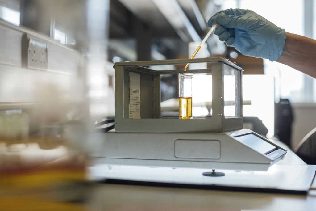 A Guide to Mycotoxin Testing: What to Know Before You Test